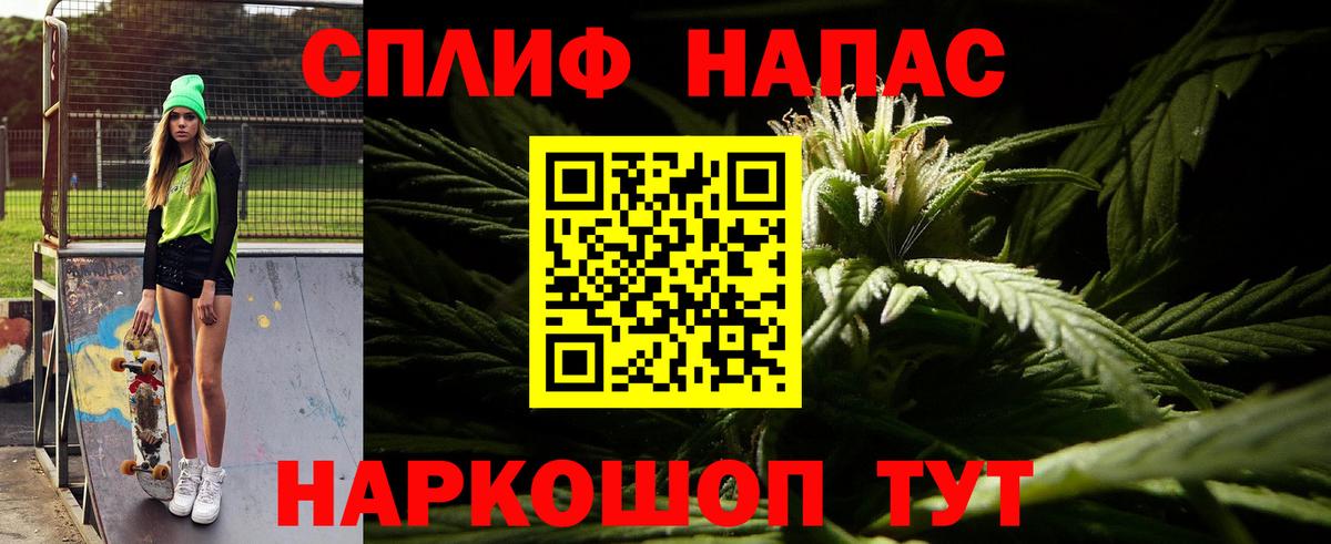 Шишки марихуана конопля Избербаш